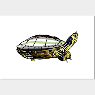 Agender Pride turtle Posters and Art